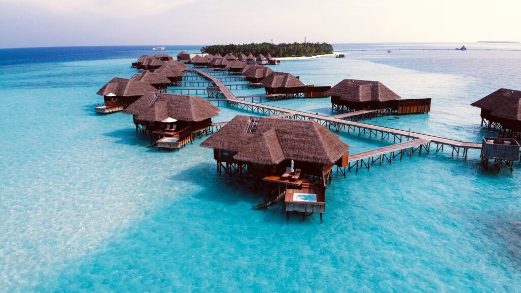 Tours & Travels